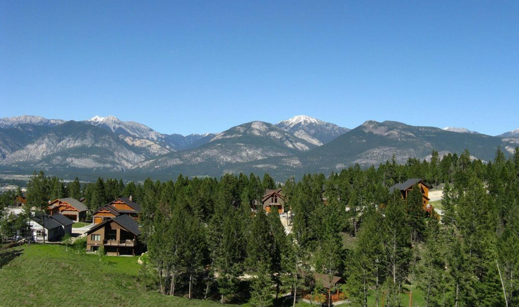 A neighbourhood of timber homes among evergreens, with a mountain range behind