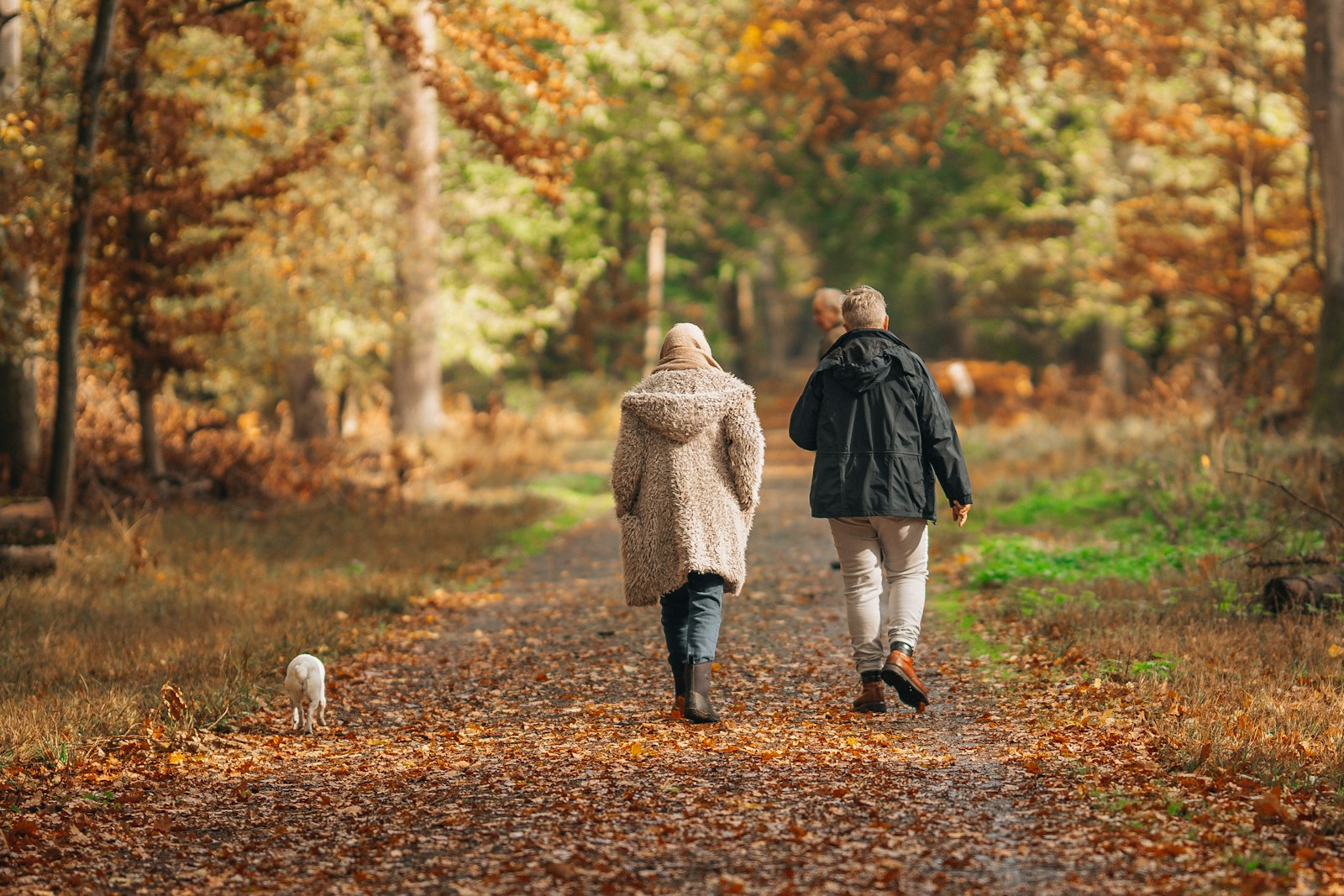 An older couple and their small dog walk away from the camera along a leaf-covered road in autumn.